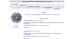 Desktop Screenshot of lem.onera.fr
