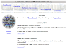 Tablet Screenshot of lem.onera.fr